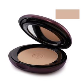 Perfect Lasting Oil Control Foundation Powder No.01